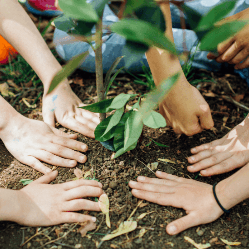 Celebrate Green Coastal Vibes at the Santa Barbara Earth Day Festival